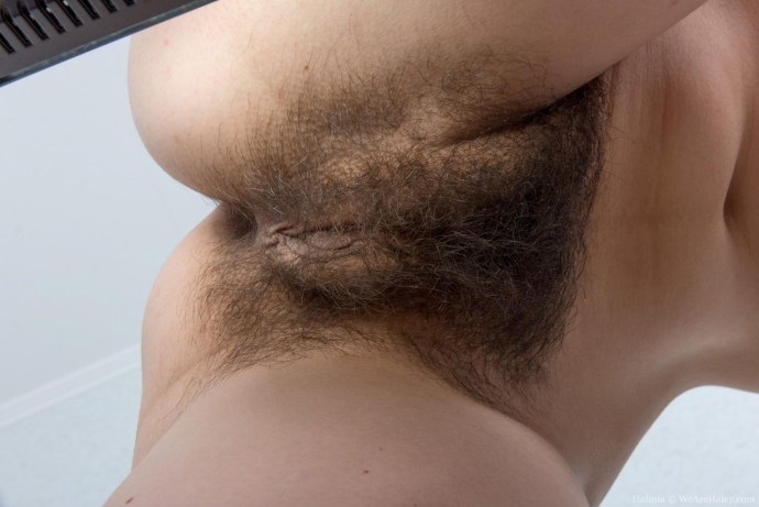 Very hairy female pubis