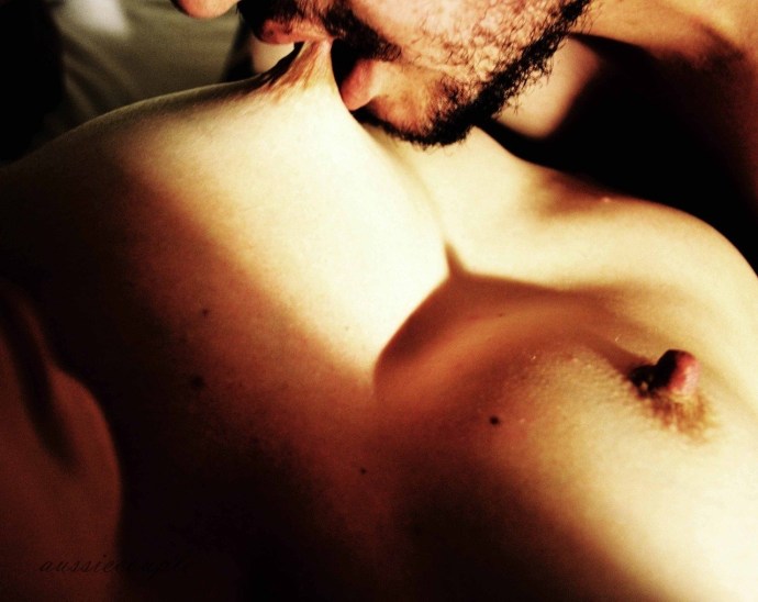 Bits the chest