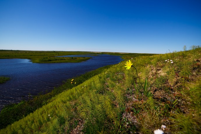 Village of Demyanskoye Tyumen Region