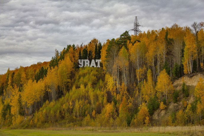 Tyamkinsky field Uvatsky district