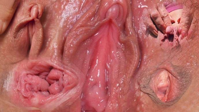 Vagina from the inside in the context