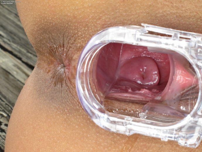 Member Cums inside the vagina