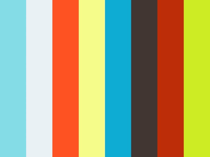 Muzli Colors Education