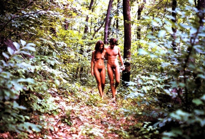Nudist families in nature