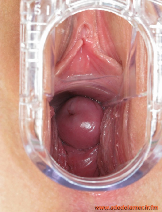 Inside the vagina of a virgin