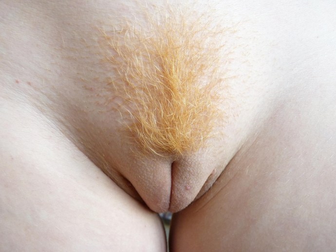 Young hairs on a pussy