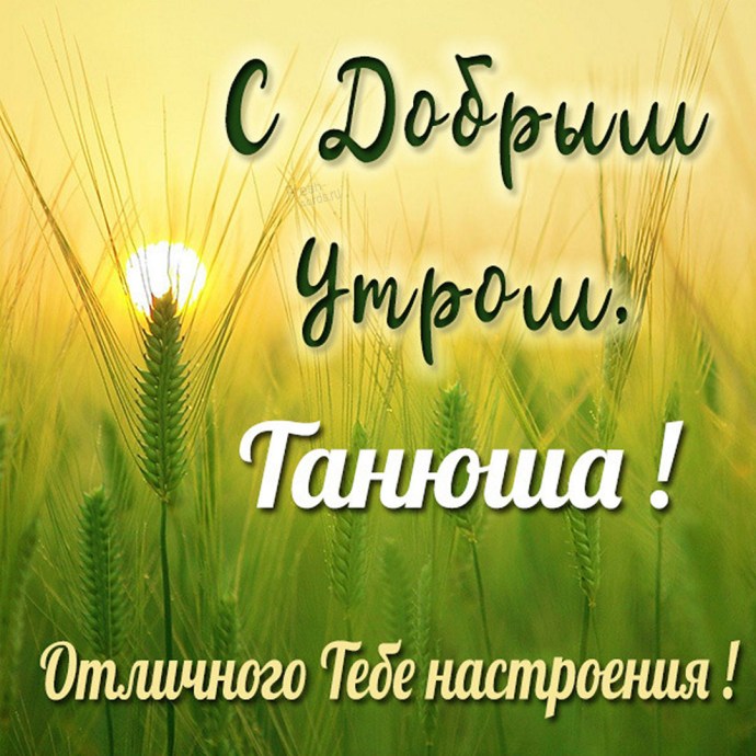Good morning Tanya