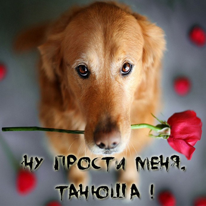 Tanyusha postcard sorry