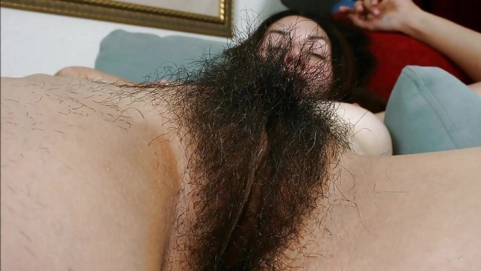 Big hairy pussies