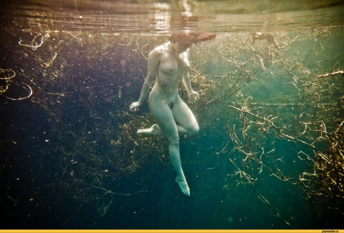 Dmitry Laudin photographer Mermaid