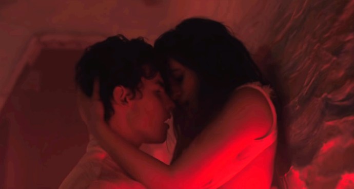 Camila Cabello and Sean Mendes Senorita