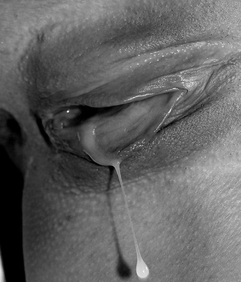 Artistic photography of the vagina