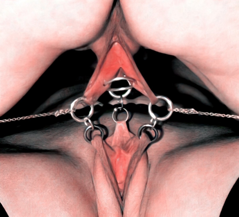 Labia extensor