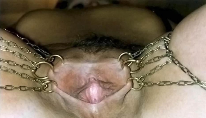 Labia stretching clamps