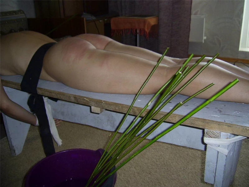 Willow rods