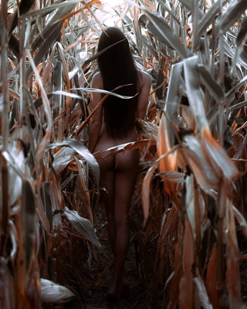 Naked brunettes in a corn field