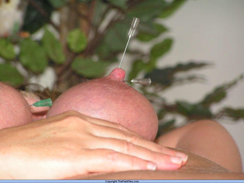 BDSM piercing boobs